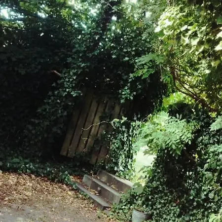 Greenbrook Homes - Jungle 3* Aalborg