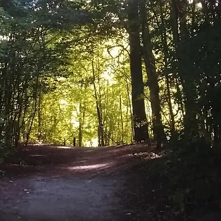 Greenbrook Homes - Jungle Nocleg ze śniadaniem Aalborg
