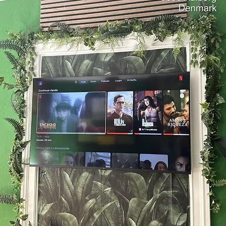 Greenbrook Homes - Jungle Nocleg ze śniadaniem 3*