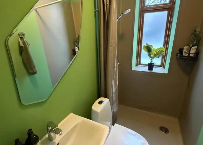 Greenbrook Homes - Jungle Aalborg