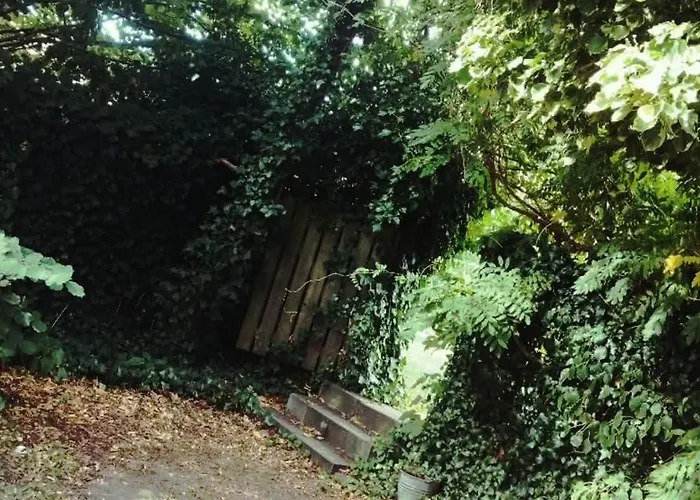 Greenbrook Homes - Jungle 3* Aalborg