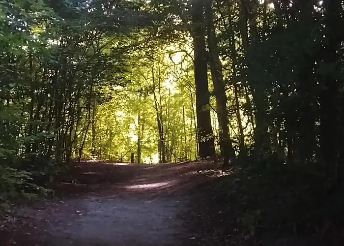 Greenbrook Homes - Jungle Bed & Breakfast Aalborg